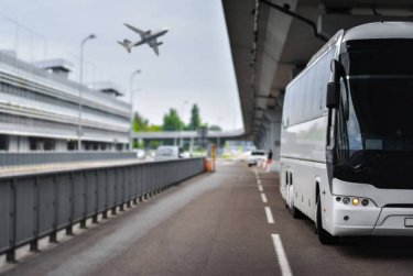 bus